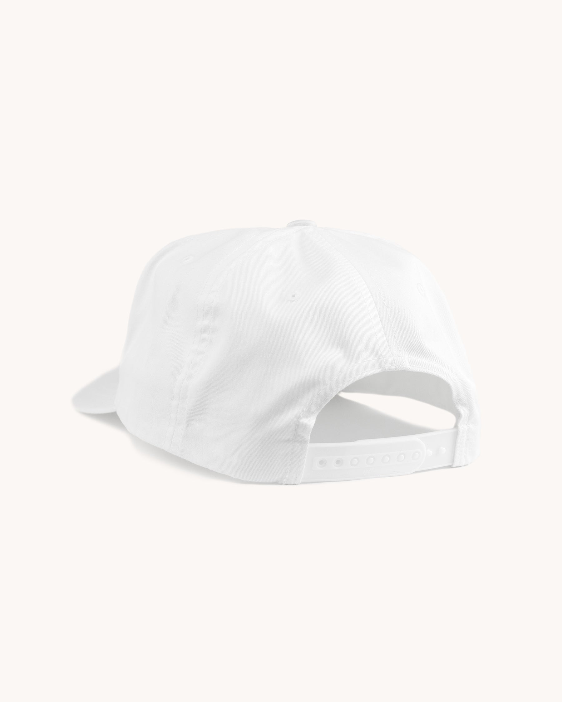 Bleacher Buddies Hat